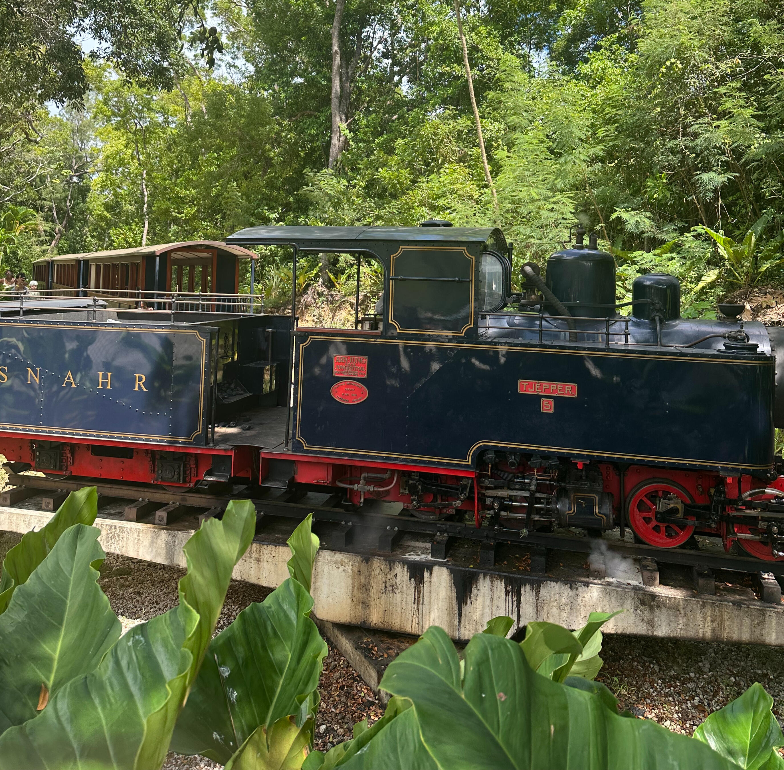 St. Nicholas Abbey & Steam Train Photo of train