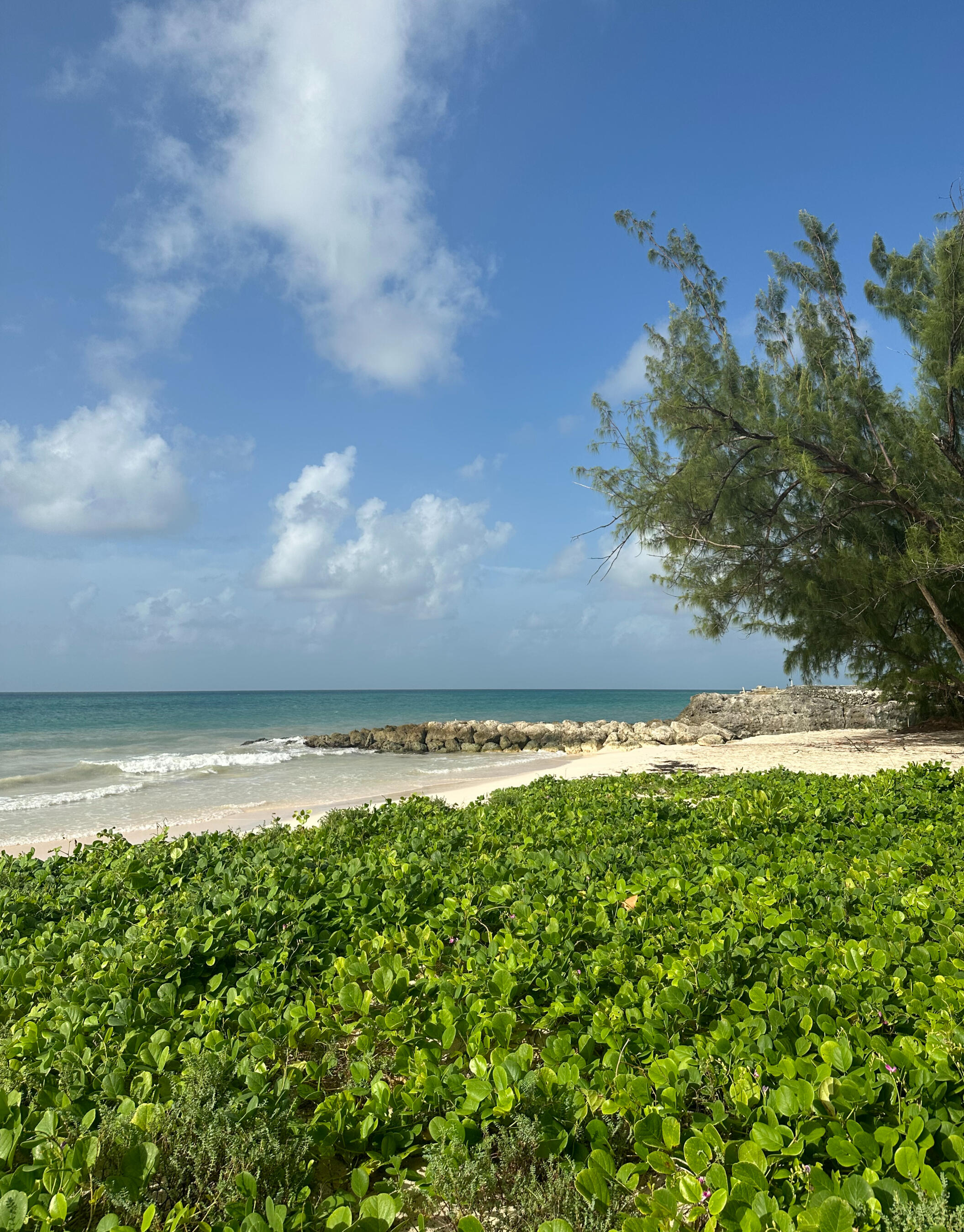 Mullins Beach Mullins beach